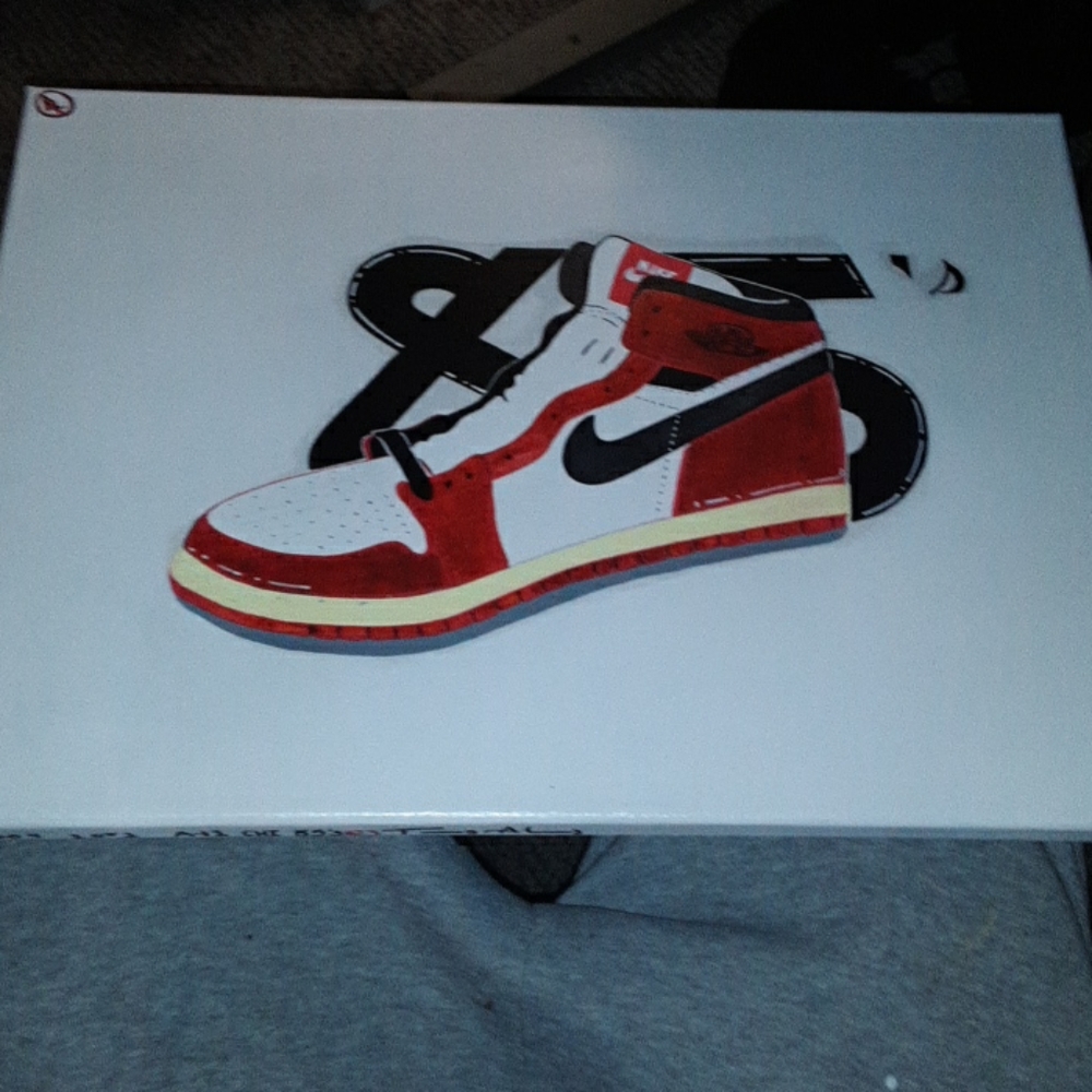 Custome AJ1 1985 Chicago Jordan canvas painting.